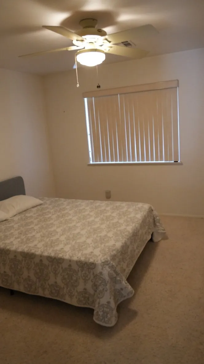 Palm View Drive — interior photograph